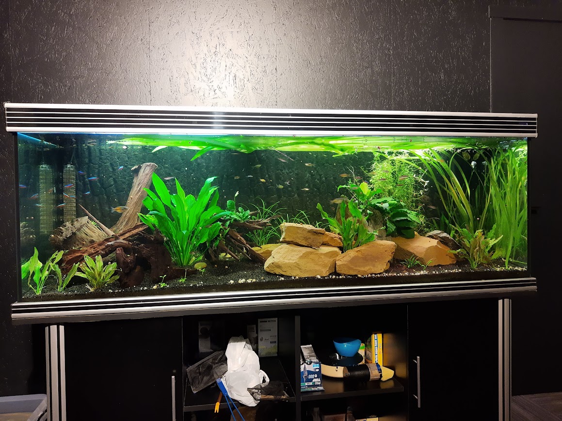 aquarium